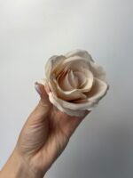 Троянда бархат середня світлий беж