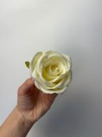 Троянда бархат середня молочна - Зображення 3