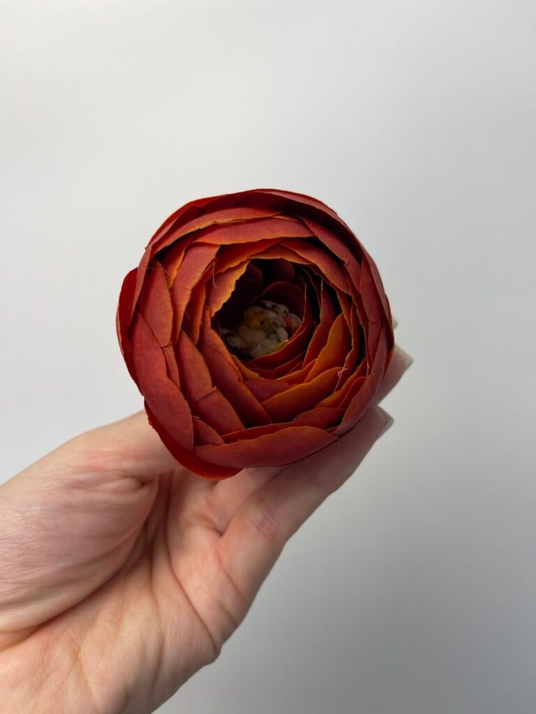 Головна img 8246