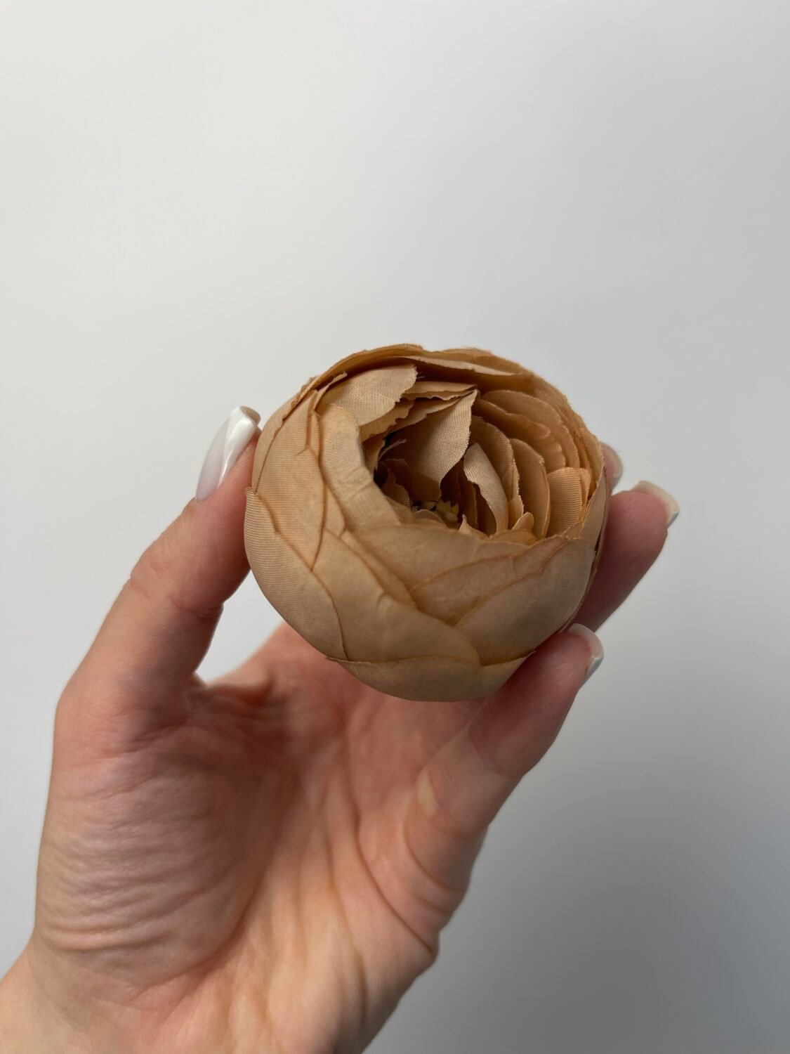 img_8249 Ранункулус темно бежевий - Зображення 1