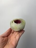 Ранункулус білий з фіолетовою серединкою - Зображення 3