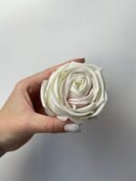 Троянда VIP  молочна з рожевою серединкою