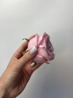 Троянда VIP  рожева - Зображення 2