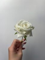 Троянда бархат міні біла - Зображення 2