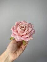 Троянда відкрита хрустка рожева - Зображення 2