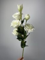 Еустома велика біла