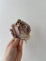 Троянда VIP відкрита т.беж - Зображення 2