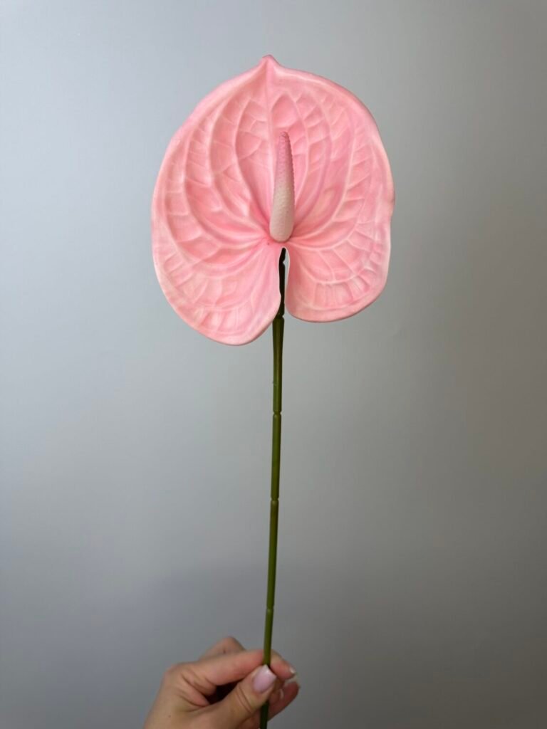 Товари зі знижкою img 8934