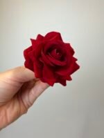 Троянда бархат міні бордо - Зображення 3