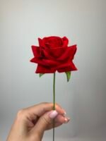 Троянда бархат міні червона - Зображення 2