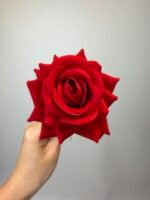 Троянда бархат міні червона