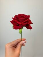 Троянда бархат міні бордо - Зображення 2