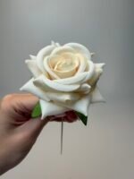 Троянда бархат міні крем