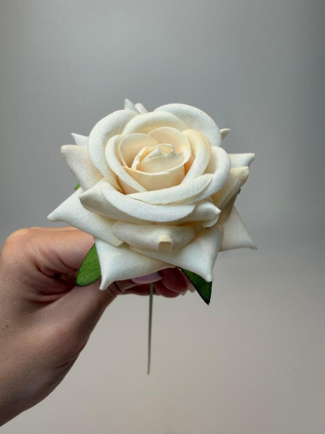 img_9043 Троянда бархат міні крем - Зображення 1