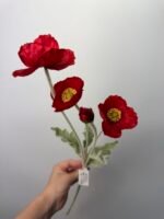 Мак червоний - Зображення 3