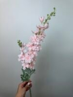 Дельфініум  подвійний ніжно рожевий - Зображення 2