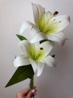 Гілка лілії середня біла - Зображення 3