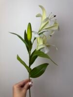 Гілка лілії середня біла - Зображення 2
