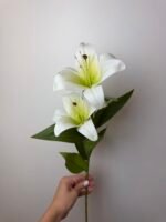 Гілка лілії середня біла