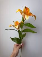 Гілка лілії середня оранж - Зображення 2
