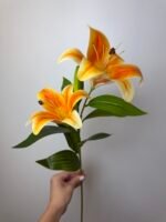 Гілка лілії середня оранж