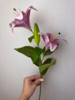 Гілка лілії середня фіолетова - Зображення 4