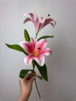 Гілка лілії середня рожева