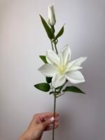 Клематіс айворі - Зображення 4