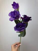 Еустома фіолетова - Зображення 2