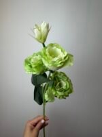 Еустома зелена - Зображення 2