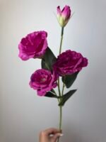 Еустома малинова - Зображення 3