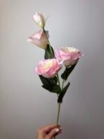 Еустома ніжно рожева - Зображення 3