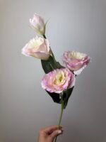 Еустома ніжно рожева