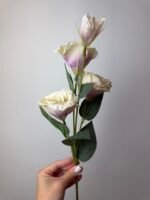 Еустома масляно-рожева - Зображення 3