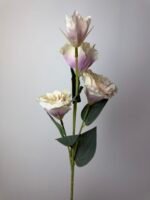 Еустома масляно-рожева - Зображення 4