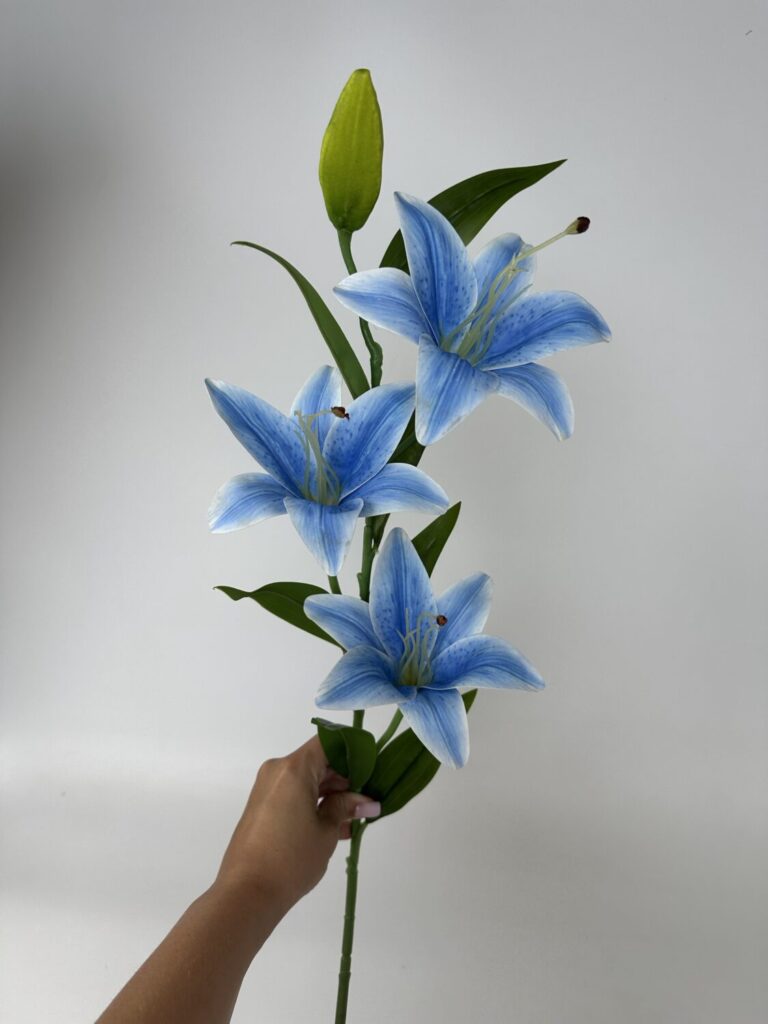 Головна img 9288