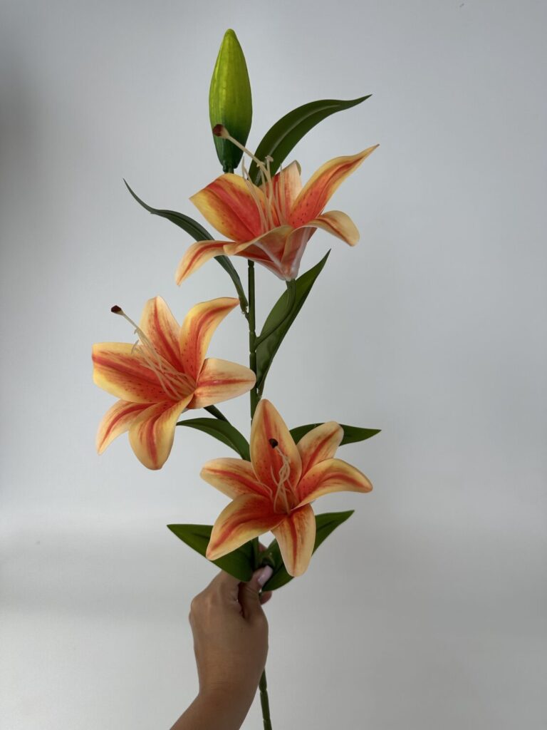 Головна img 9290