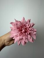 Далія рожева - Зображення 3