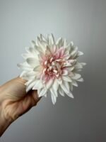 Далія біла з рожевою серединкою