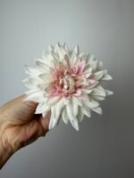 Далія біла з рожевою серединкою - Зображення 3