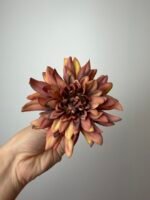 Далія темно руда