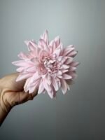 Далія світло рожева