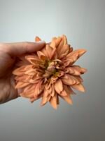 Далія руда - Зображення 3