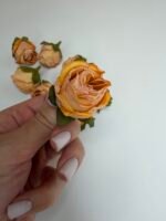 Троянда міні орнаж - Зображення 4