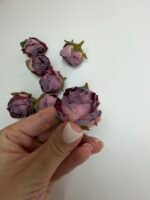 Троянда міні фіолет - Зображення 4