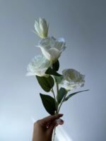 Еустома біла