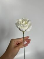 Еустома бутон айворі