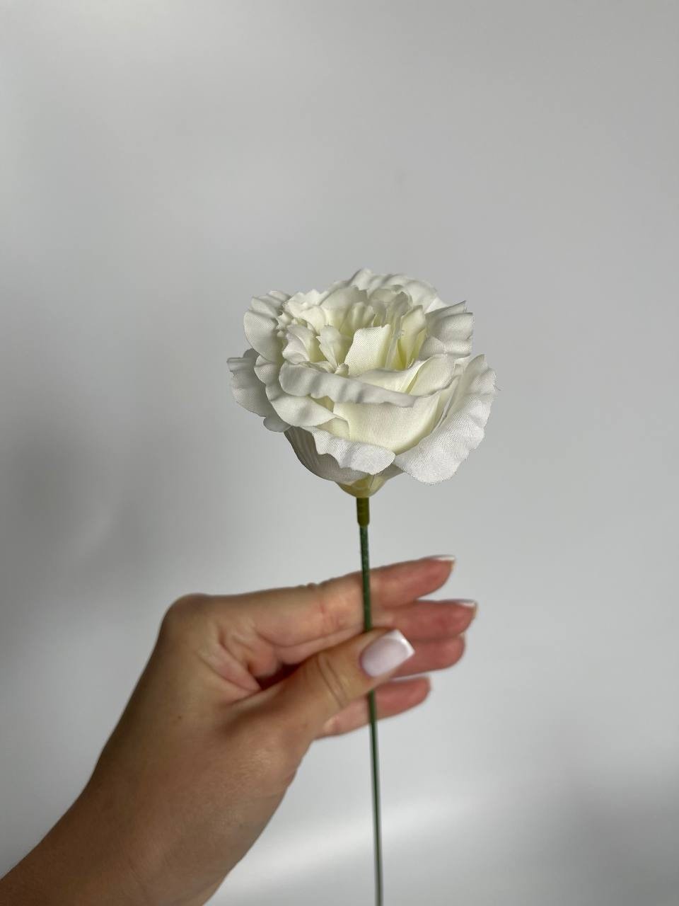 img_0356 Еустома бутон айворі - Зображення 1