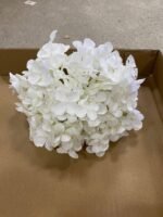 Гортензія преміум молочна - Зображення 4