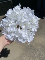 Гортензія преміум біла - Зображення 4